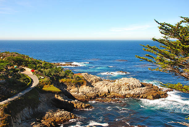 istock Point Lobos State Reserve, Monterey Peninsula 479661705