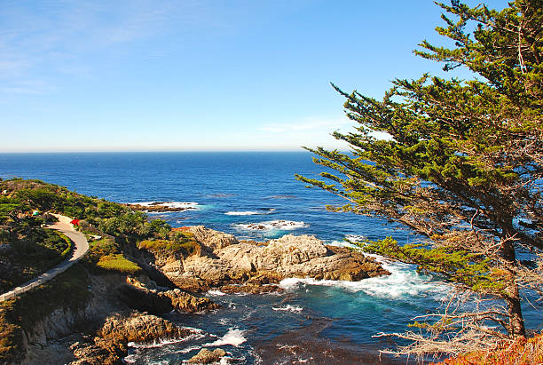 istock Point Lobos State Reserve, California 479661715