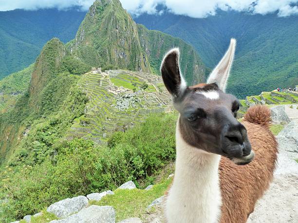 istock Peru Machu Picchu calls 01 479663954