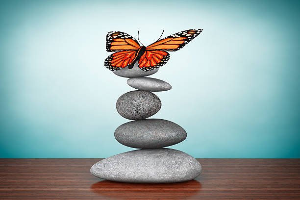 istock Old Style Photo. Balanced stones with butterfly 479670382