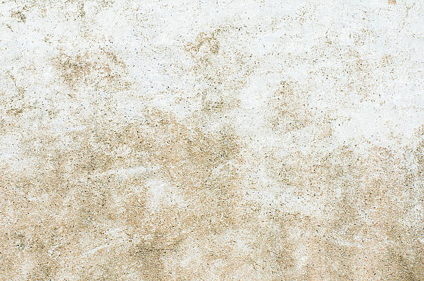 istock Grunge Concrete wall textured or background, Concrete dirty with moldy. 479671872