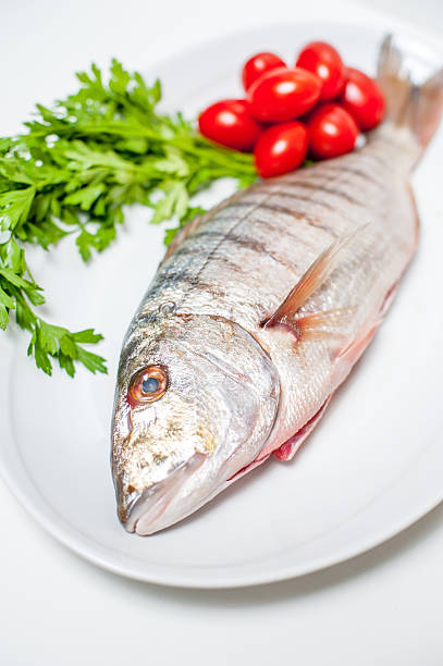 istock Fresh raw striped sea bream murmurs with parsley and tomatoes 479672586