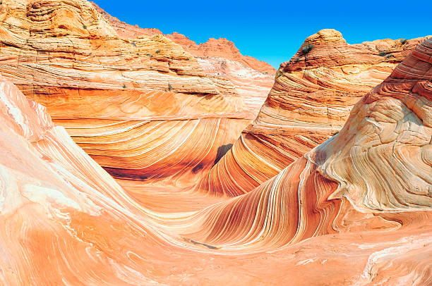 istock The Wave, Coyote Buttes North, Arizona 479672944