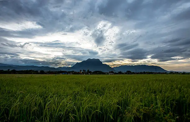 Photo of Chiang Dao in Chiang Mai