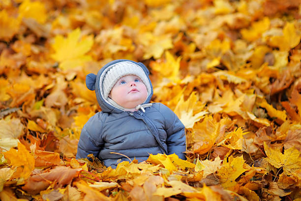 pequeno bebê no outono - smiling little girls little boys autumn imagens e fotografias de stock