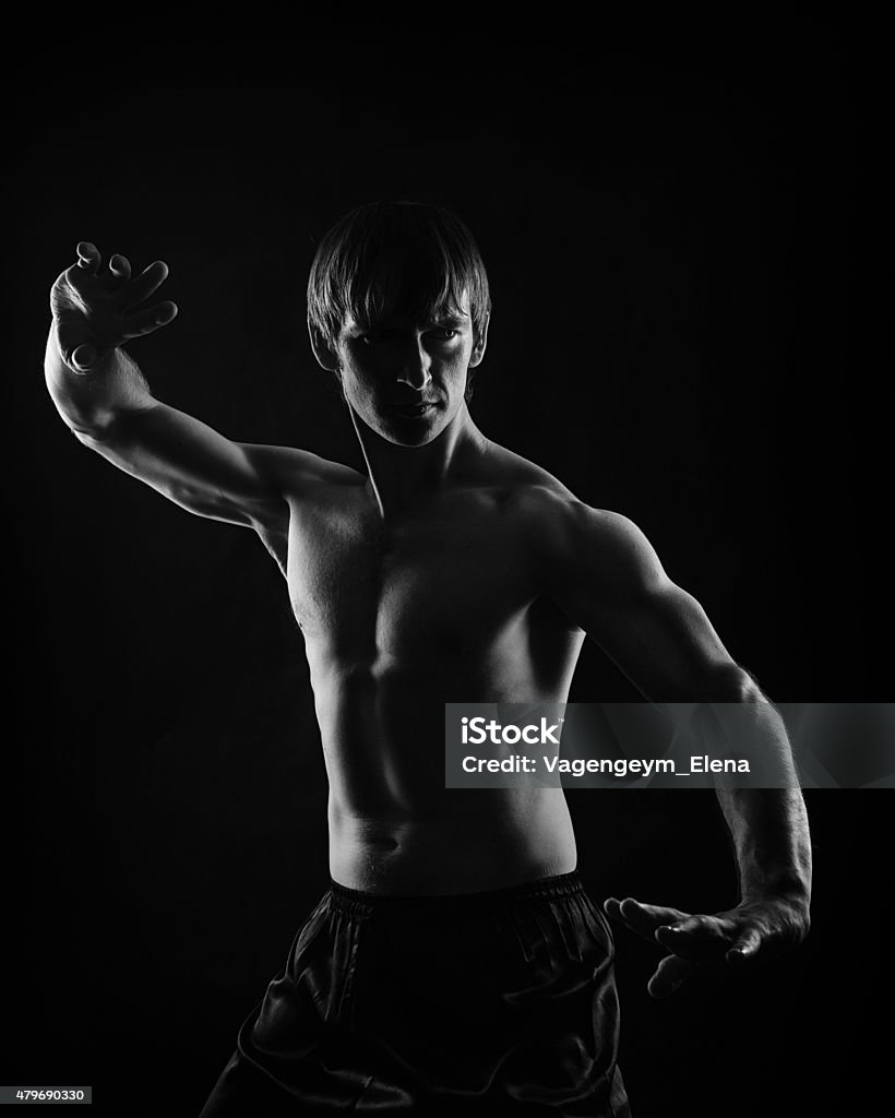 Martial Arts. Kung Fu kata. Shock technique. Kung Fu athlete shows the self-defense techniques. Low key. The concept of a healthy body, healthy mind. 2015 Stock Photo