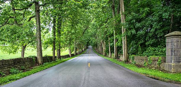 Old Frankfort Pike In Kentucky Bluegrass Country