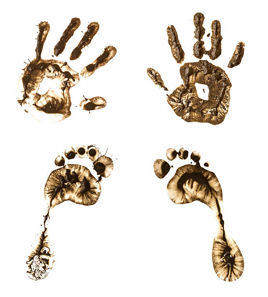 hand and foot print on  white background stock photo