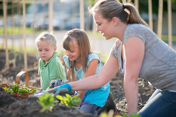 istock Teaching Children to Garden 479703950