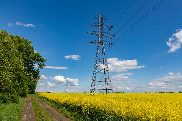 Cтоковое фото Powerlines на изнасилования поле