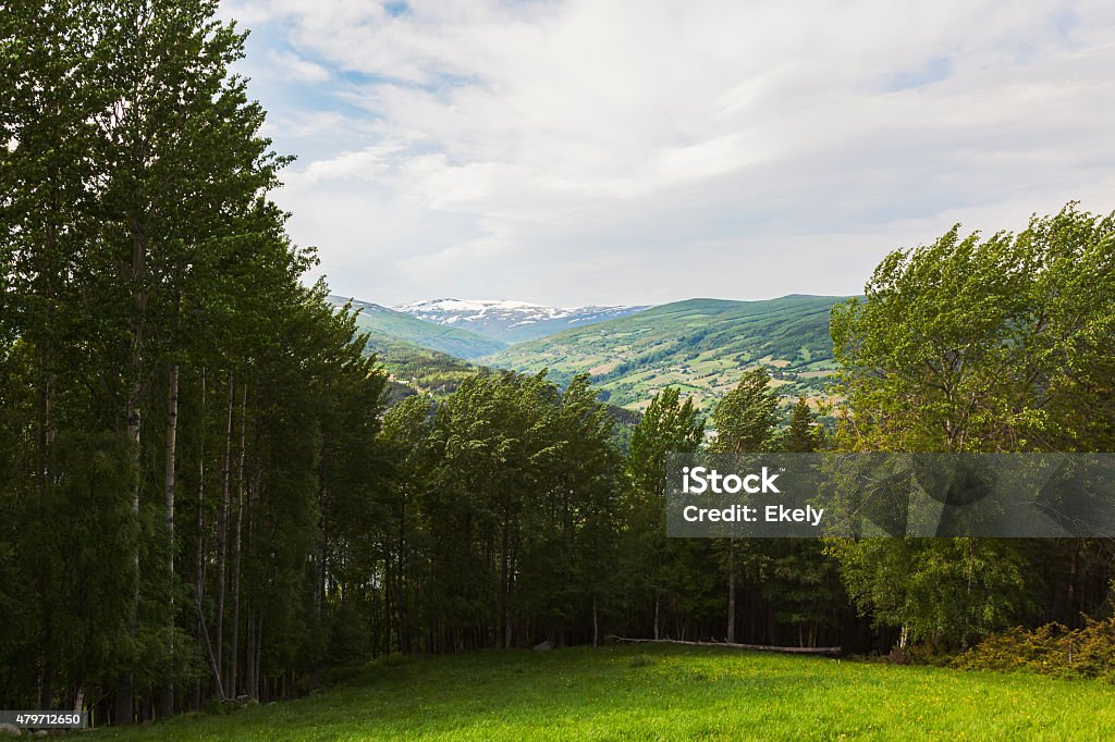 Norwegian landscape with green lawn and deciduous trees in summer. Norwegian landscape with green lawn and deciduous trees in summer. View to  Gudbrandsdalen and Vaagaa.  In the background Dovre with snow covered mountains. Norway. 2015 Stock Photo