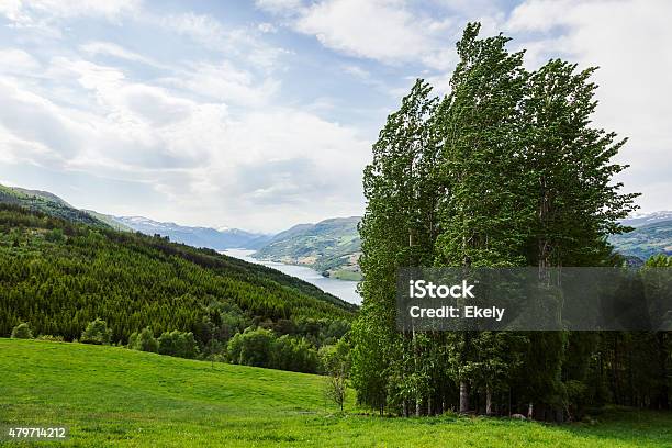 Norwegian Landscape From Gudbrandsdalen In Norway Stock Photo - Download Image Now - 2015, Beauty In Nature, Bright