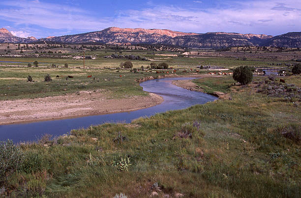 istock Sevier River cattle range Hatch Utah Bryce Canyon National Park 479714462