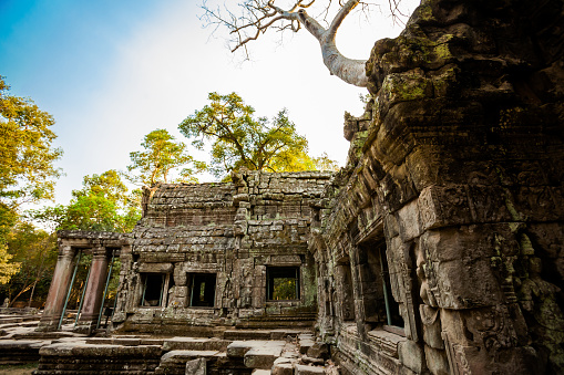 Architecture of old buddhist Ta Prohm temple in Angkor Archeological park . Monument of Cambodia - Siem Reap. Tomb Rider movie scenery.