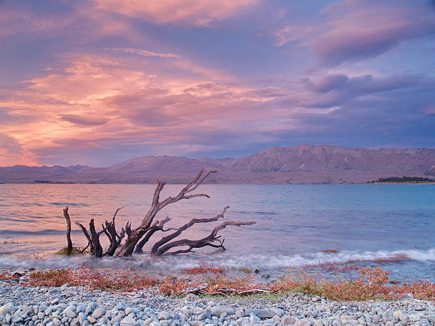 istock Lake Tekapo, New Zealand 479715318
