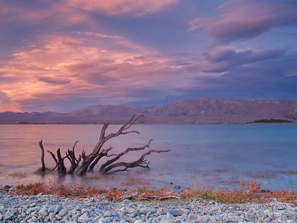 istock Lake Tekapo, New Zealand 479715444