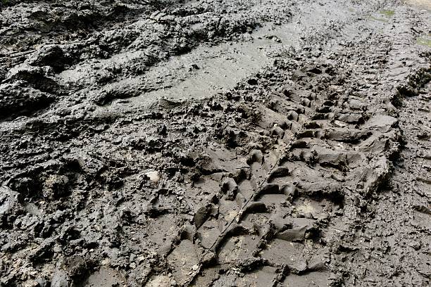 istock Imprint automobile tires on dirt 479717820