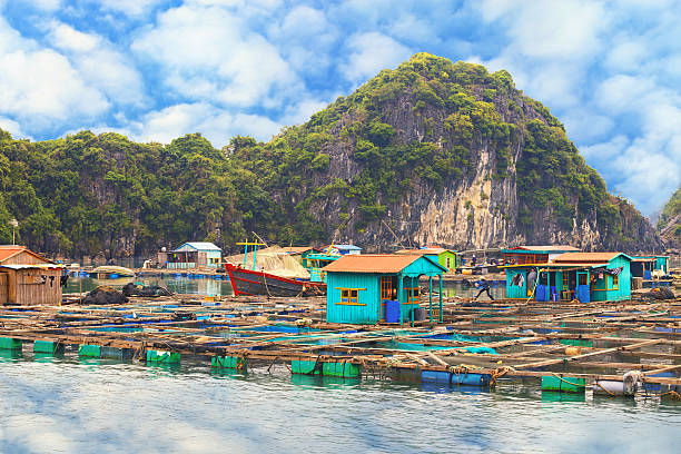 istock Asian floating village at Halong Bay 479718568