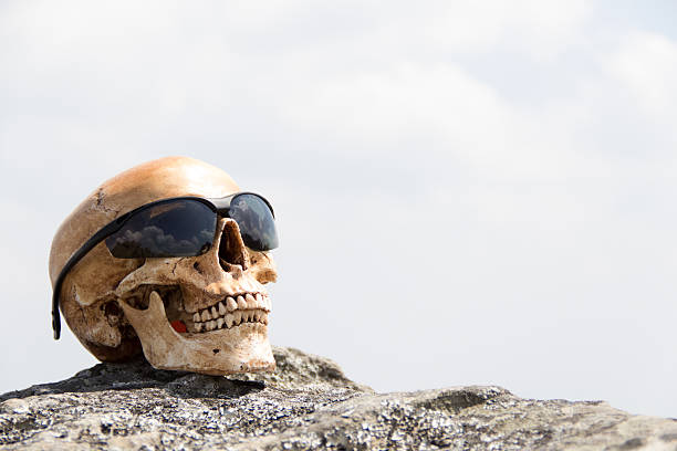 human skull with sun glasses on the rock