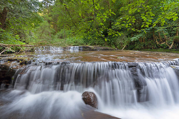 istock Cascading Waterfall over Ledge at Sweet Creek Falls Trail 479724190
