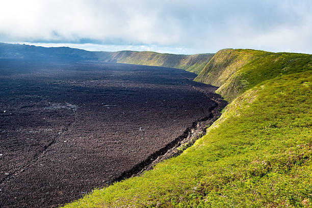 Sierra Negra Volcano Crater of Sierra Negra Volcano on Isabela Island in the Galapagos Islands galapagos islands stock pictures, royalty-free photos & images