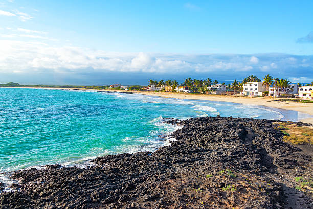 Beach on Isabela Island in Galapagos stock photo
