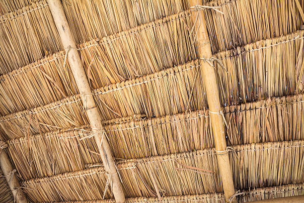 istock Close up of ground. Texture of straw 479726519