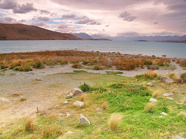 istock Lake Tekapo, New Zealand 479726680