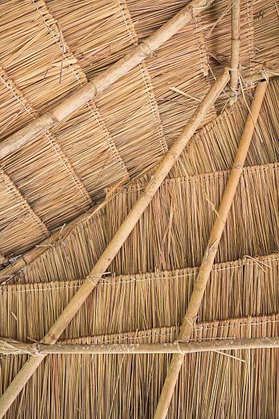 istock Close up of ground. Texture of straw 479727013