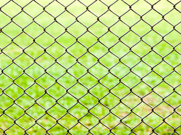 istock iron wire fence on green grass background . 479729897