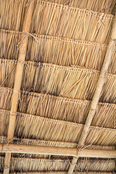 istock Close up of ground. Texture of straw 479730143