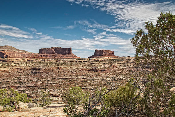 istock Canyonlands National Park 479738080