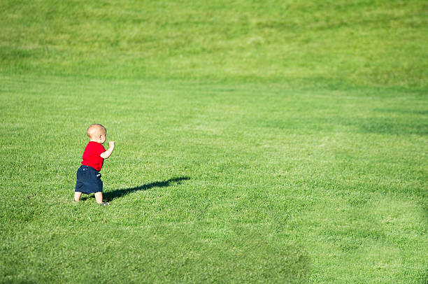 istock Little baby boy walking in a field. 479738232
