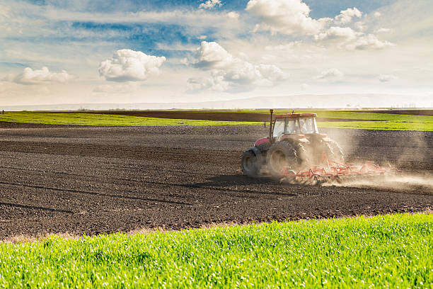 istock Farmer in tractor preparing land with seedbed cultivator 479743940