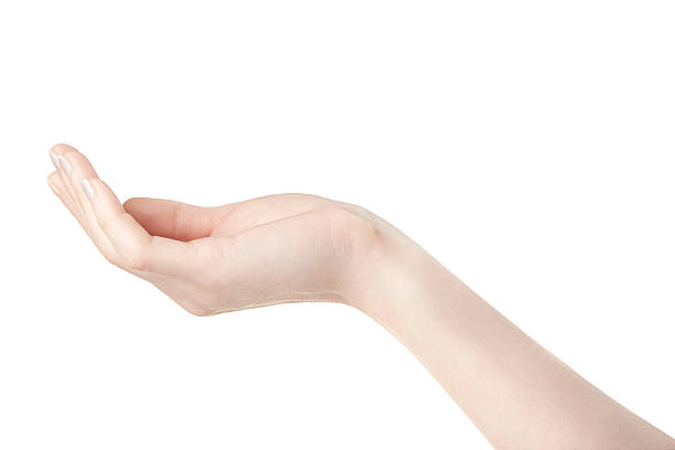 istock Woman empty hand open palm on white 479749760