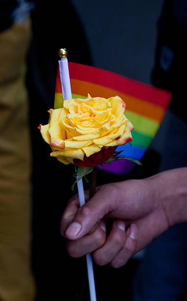 Gay pride 2015 stock photo