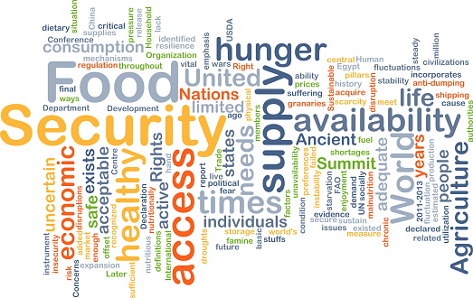 Background concept wordcloud illustration of food security