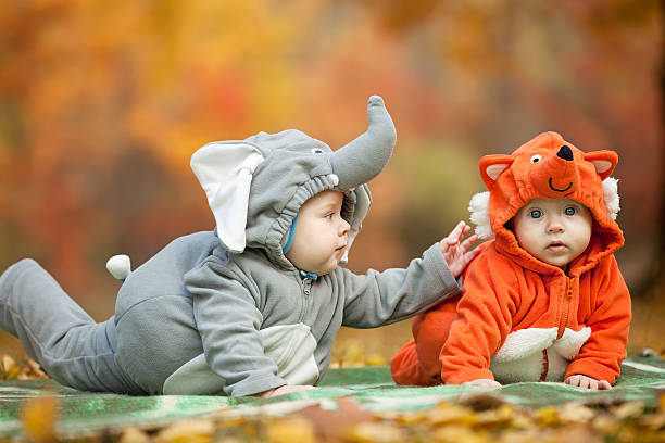 Two Baby Boys Dressed In Animal Costumes Outdoors Stock Photo - Download  Image Now - Child, Animal Costume, Autumn - iStock