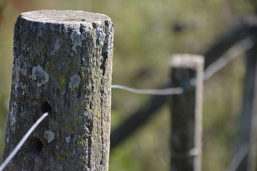 fence stick where the continuation of the same in an Argentine field is unfocused