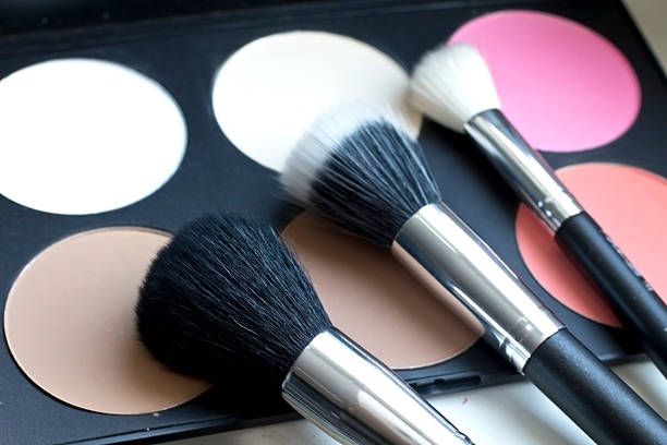 Professional make-up brushes and cosmetics blush stock photo