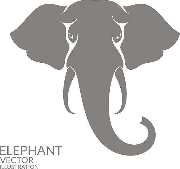 Elephant Head Silhouette Vector