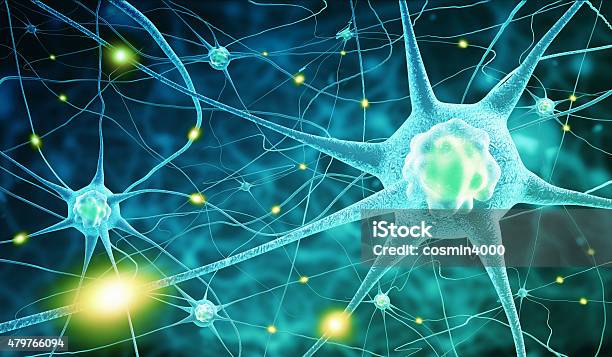 Nerve Cells Stock Photo - Download Image Now - Nerve Cell, Synapse, Hormone