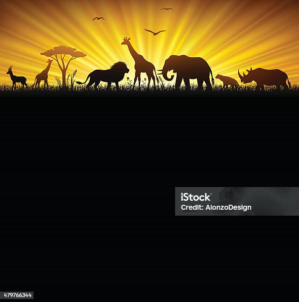 African Safari Stock Illustration - Download Image Now - Sunset, Animal, Animal Themes