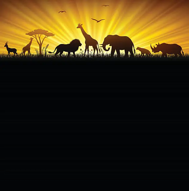 Vector illustration of African Safari