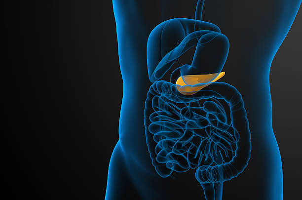 3 d render de medicina ilustração do gallblader e pancrease - foto de acervo