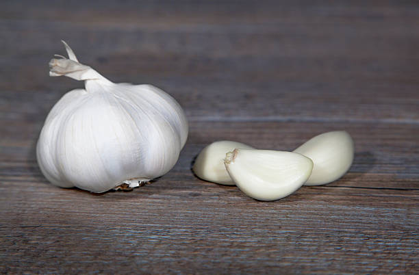 Garlic stock photo