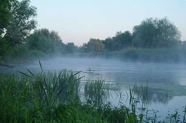 istock Morning landscape with fog on the river 479767642
