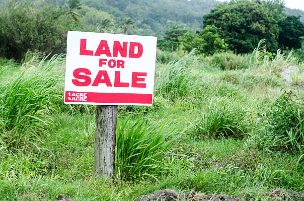 tierra para venta signo en césped de lote - acreage fotografías e imágenes de stock