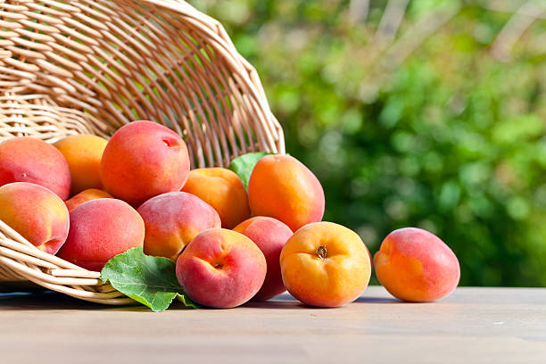 istock juicy ripe apricots 479780642