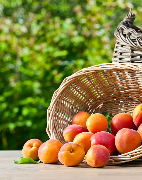 istock juicy ripe apricots 479783760